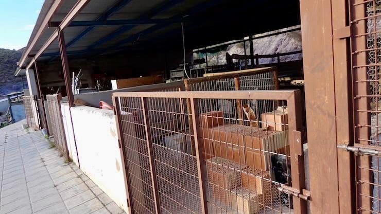 2 soveværelse Finca/Landehus til salg i Cantoria - € 217.000 (Ref: 9006710)