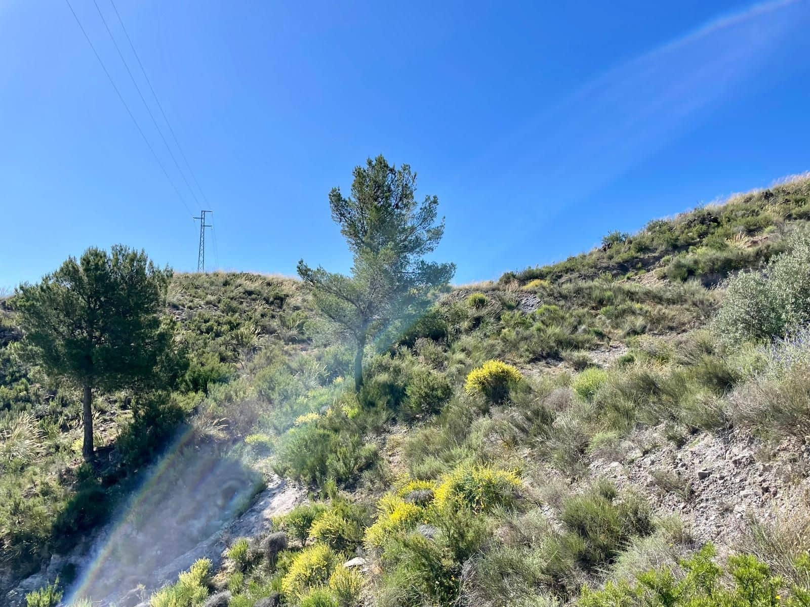 2 soveværelse Finca/Landehus til salg i Cantoria - € 217.000 (Ref: 9006710)