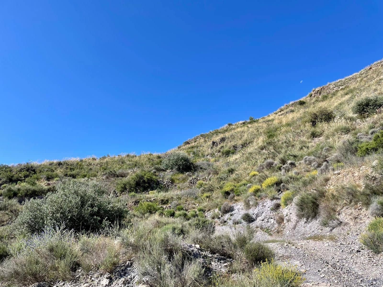 2 soveværelse Finca/Landehus til salg i Cantoria - € 217.000 (Ref: 9006710)