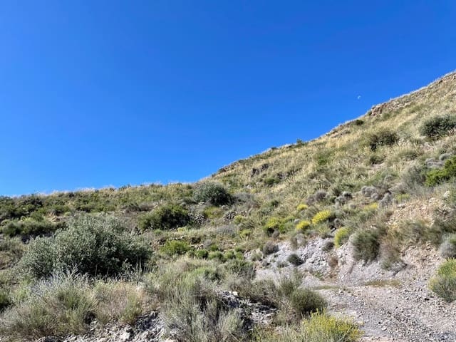 2 soverom Finca/Herregård til salgs i Cantoria - € 217 000 (Ref: 9006710)