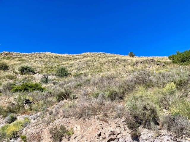 2 soverom Finca/Herregård til salgs i Cantoria - € 217 000 (Ref: 9006710)