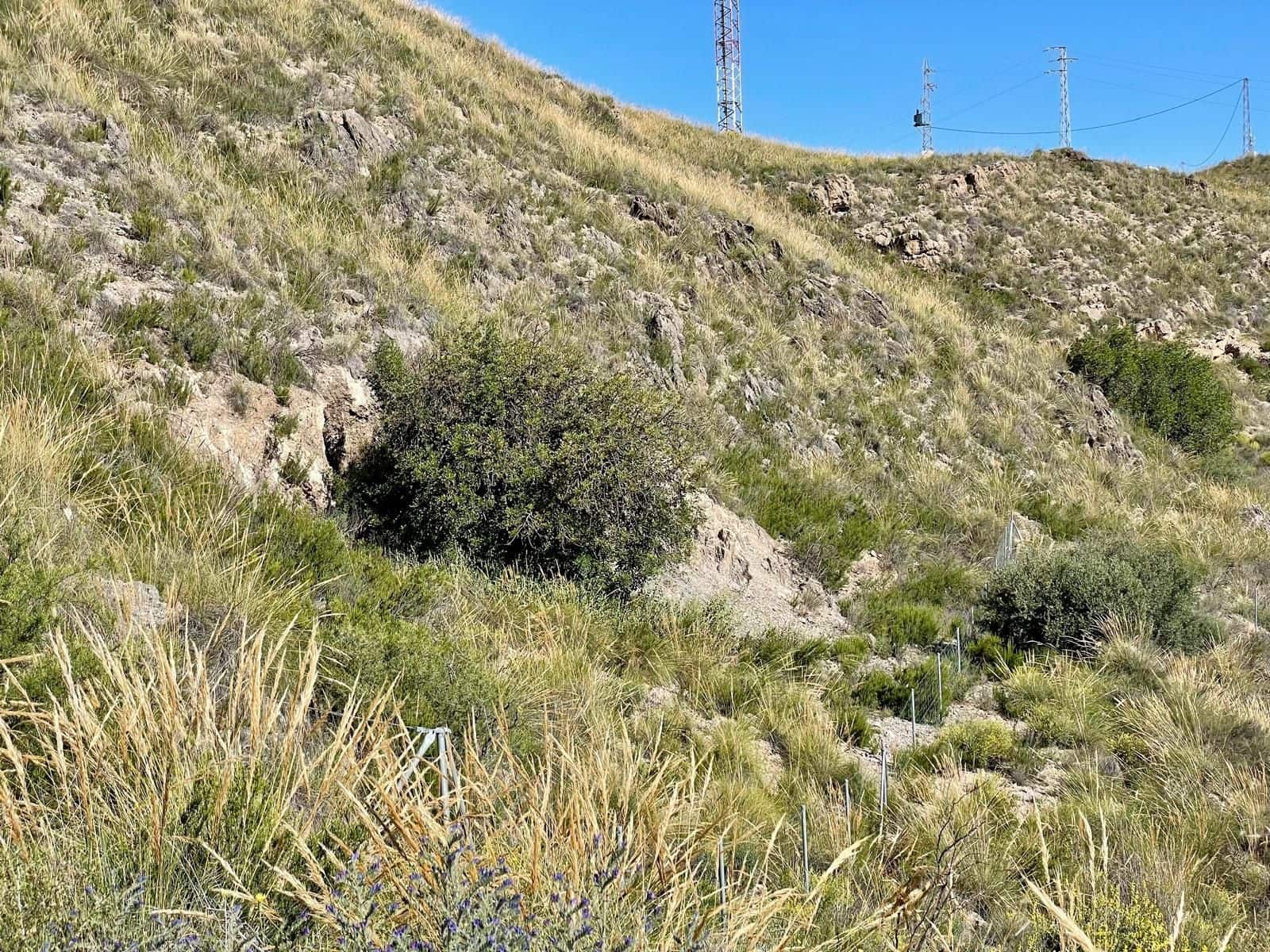 2 soveværelse Finca/Landehus til salg i Cantoria - € 217.000 (Ref: 9006710)