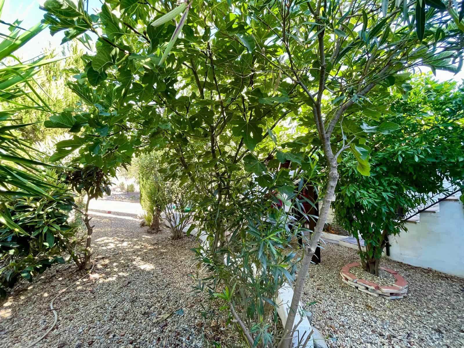 3 soveværelse Finca/Landehus til salg i Arboleas med garage - € 205.500 (Ref: 9262184)