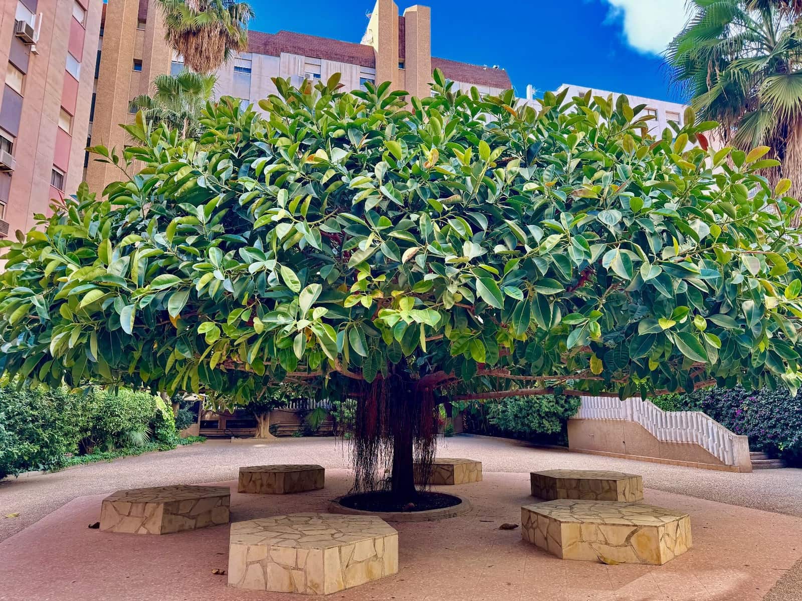 4 bedroom Apartment for sale in Benidorm with garage - € 478,000 (Ref: 8154938)