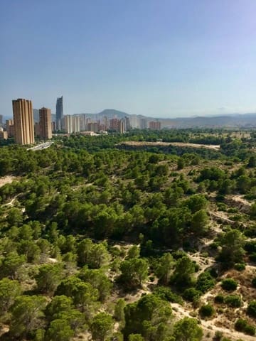 2 Zimmer Apartment zu verkaufen in Benidorm mit Pool Garage - 285.000 € (Ref: 9200306)