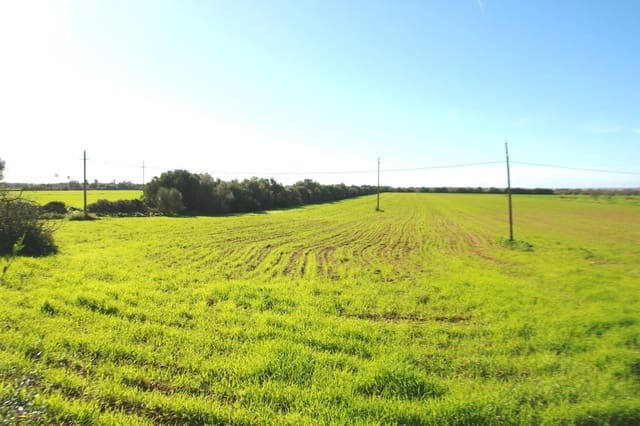 Mark till salu i Campos - 682 000 € (Ref: 7385342)