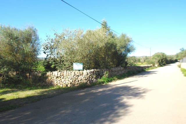 Mark till salu i Campos - 682 000 € (Ref: 7385342)