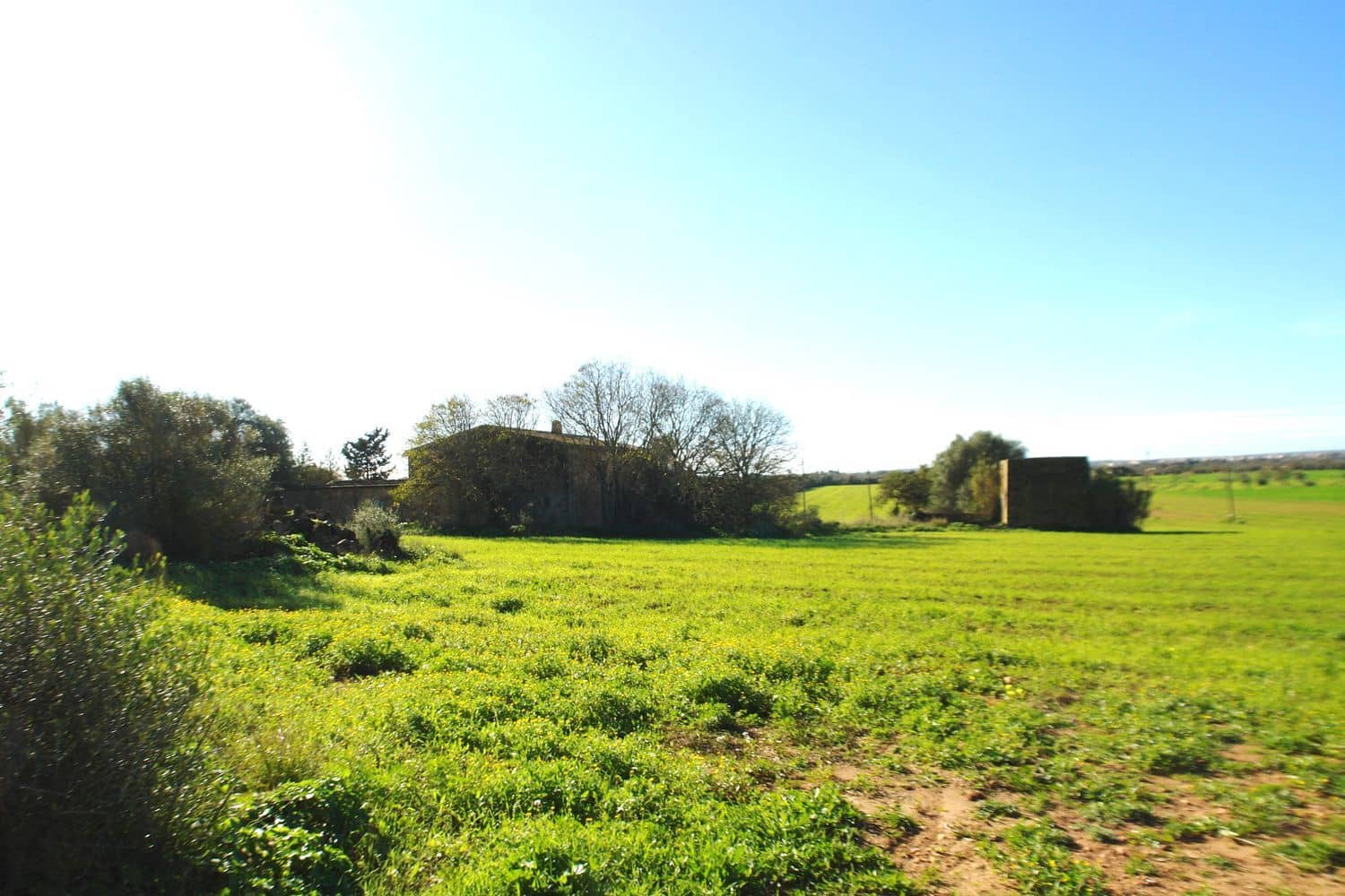 Grunde uden byggetilladelser til salg i Campos - € 682.000 (Ref: 7385342)