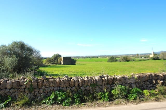 Mark till salu i Campos - 682 000 € (Ref: 7385342)