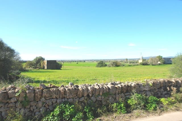 Mark till salu i Campos - 682 000 € (Ref: 7385342)