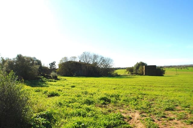 Mark till salu i Campos - 682 000 € (Ref: 7385342)