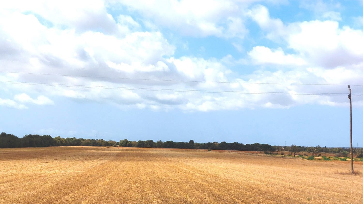 Grunde uden byggetilladelser til salg i Campos - € 682.000 (Ref: 7385342)