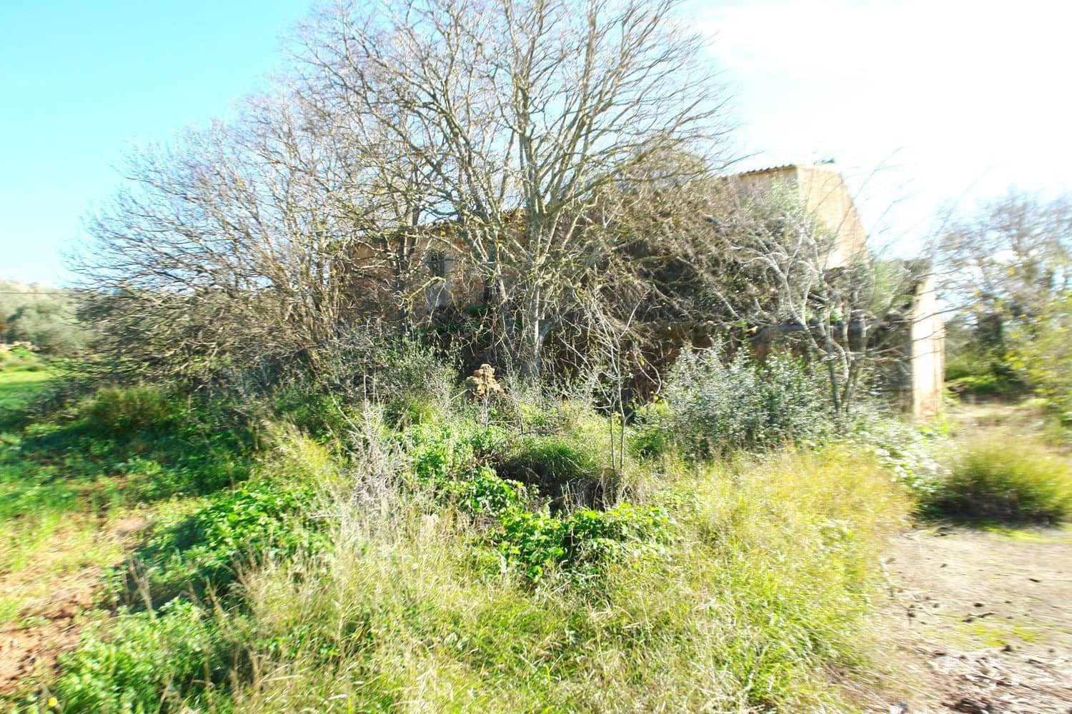 Grunde uden byggetilladelser til salg i Campos - € 682.000 (Ref: 7385342)