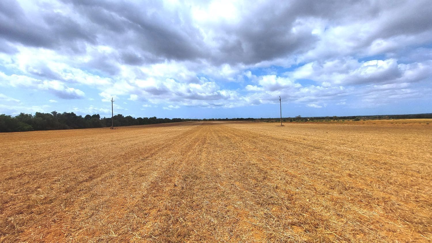 Grunde uden byggetilladelser til salg i Campos - € 682.000 (Ref: 7385342)