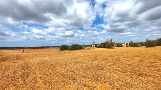 Mark till salu i Campos - 682 000 € (Ref: 7385342)