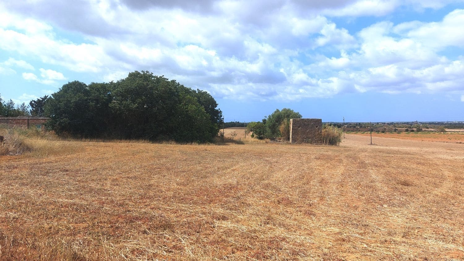 Grunde uden byggetilladelser til salg i Campos - € 682.000 (Ref: 7385342)