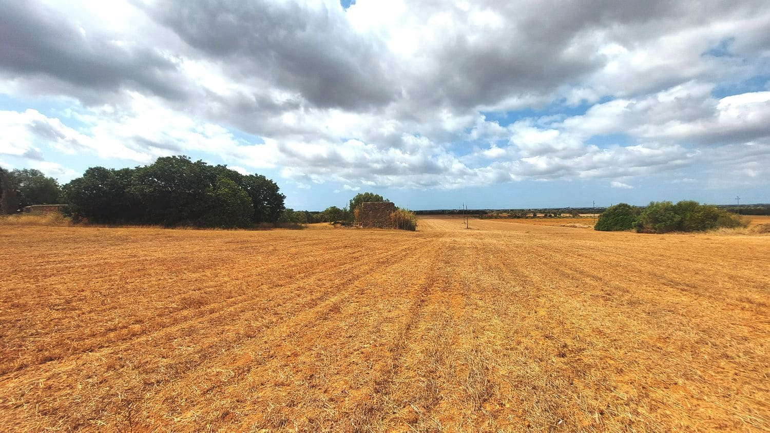 Grunde uden byggetilladelser til salg i Campos - € 682.000 (Ref: 7385342)