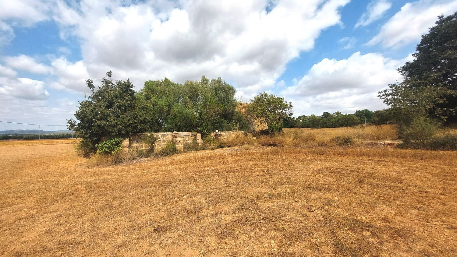 Grunde uden byggetilladelser til salg i Campos - € 682.000 (Ref: 7385342)