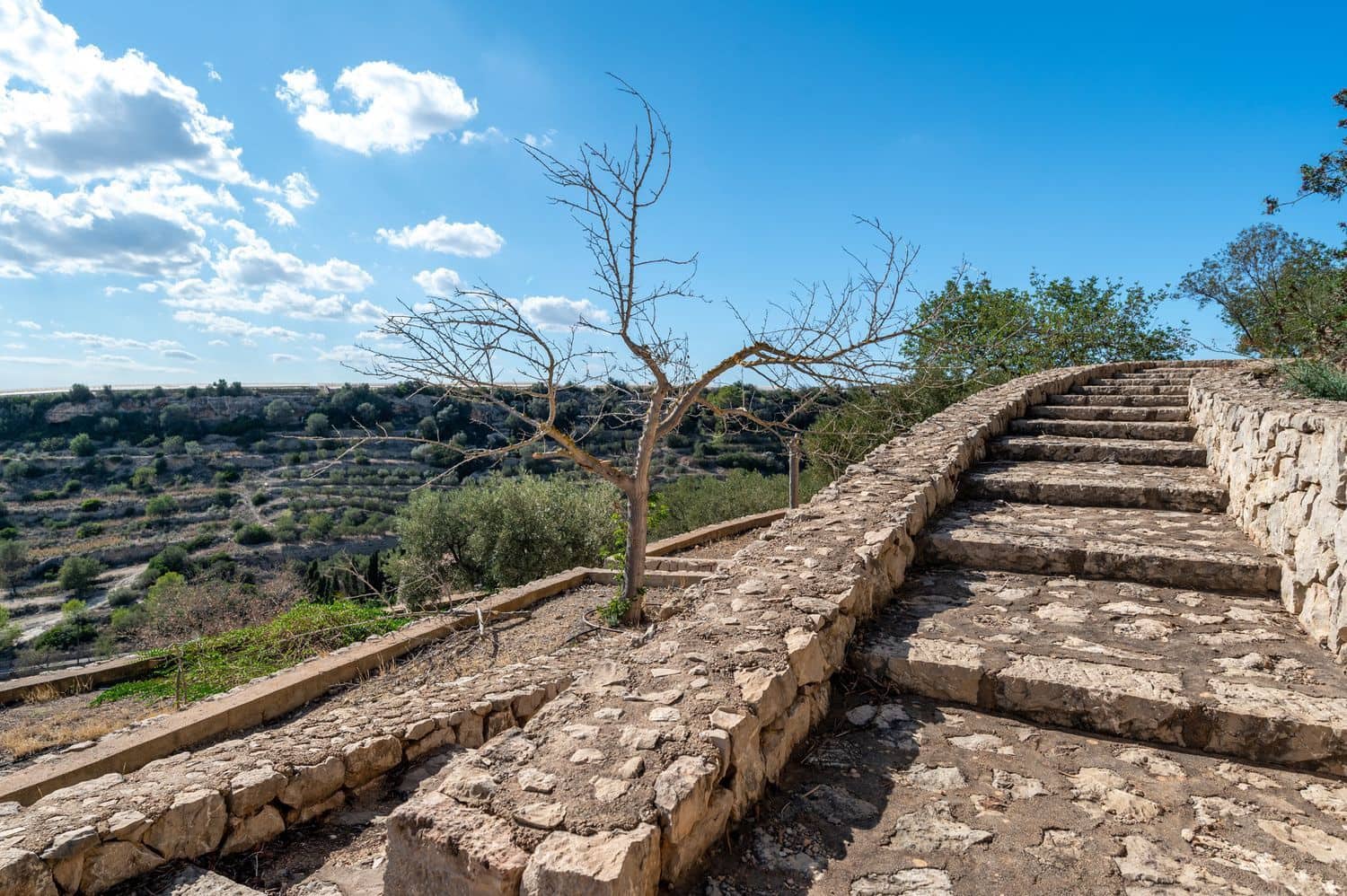 4 sypialnia Finka/Dom wiejski na sprzedaż w Puntiro z basenem garażem - 1 855 000 € (Ref: 8607983)