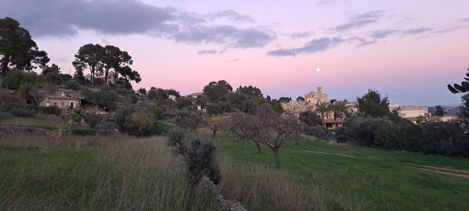 1 sovrum Finca/Hus på landet att hyra i Selva med pool garage - 1 750 € (Ref: 9284067)