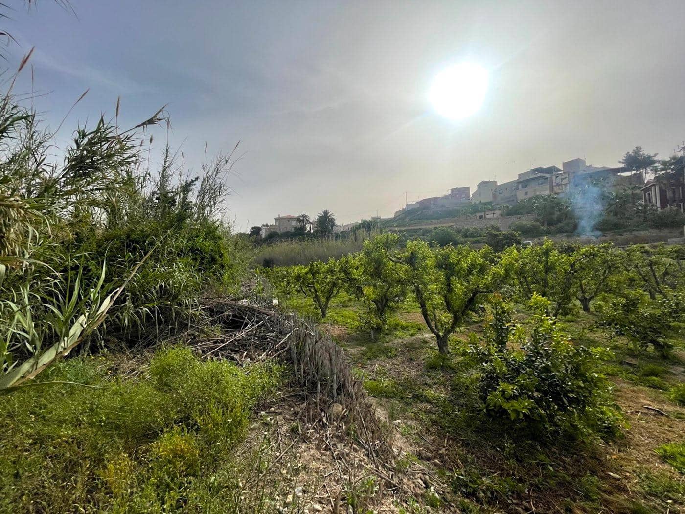 4 makuuhuone Maalaistalo myytävänä paikassa Villanueva del Rio Segura mukana 
autotalli - 350 000 € (Ref: 6841980)