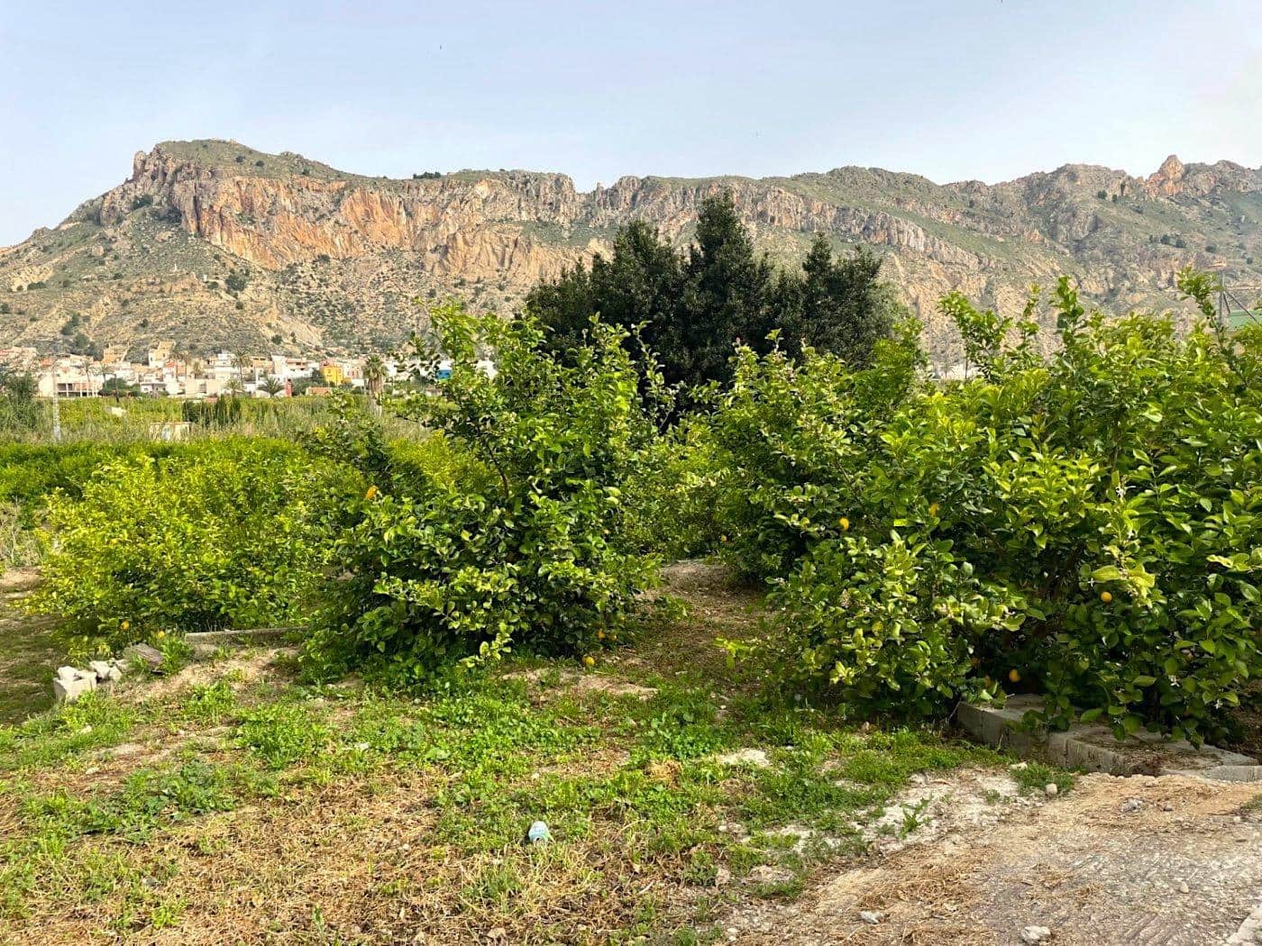 4 makuuhuone Maalaistalo myytävänä paikassa Villanueva del Rio Segura mukana 
autotalli - 350 000 € (Ref: 6841980)