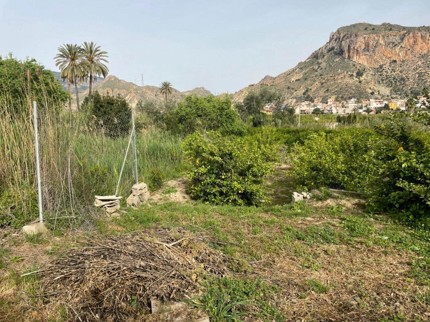 4 makuuhuone Maalaistalo myytävänä paikassa Villanueva del Rio Segura mukana 
autotalli - 350 000 € (Ref: 6841980)