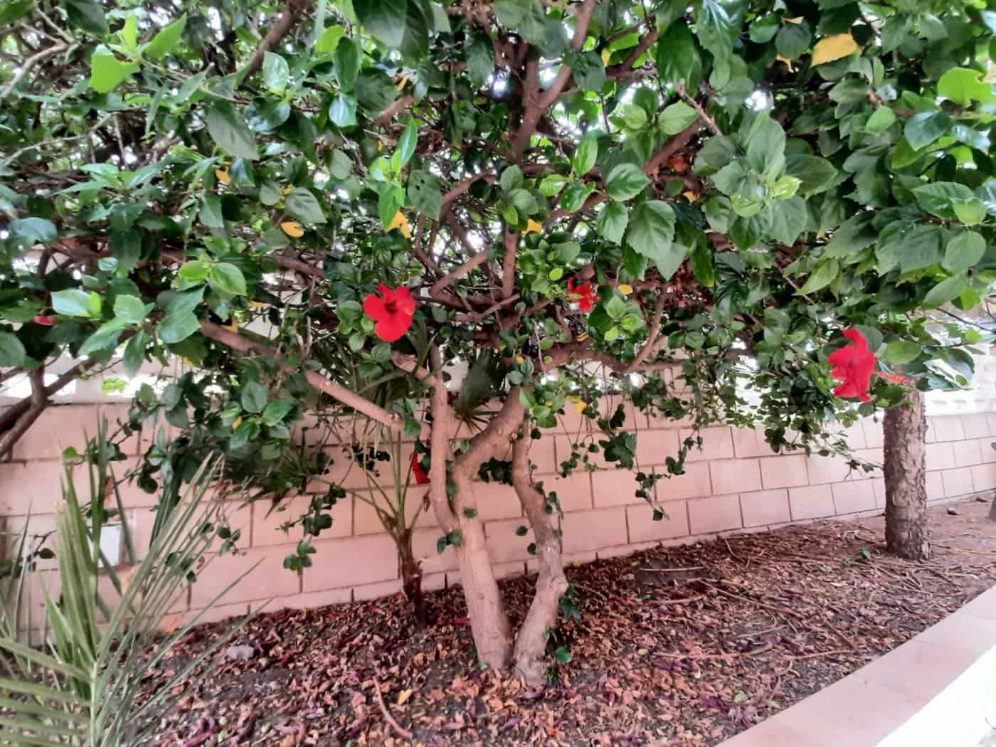 4 camera da letto Villa in vendita in Calarreona con garage - 300.000 € (Rif: 7494033)