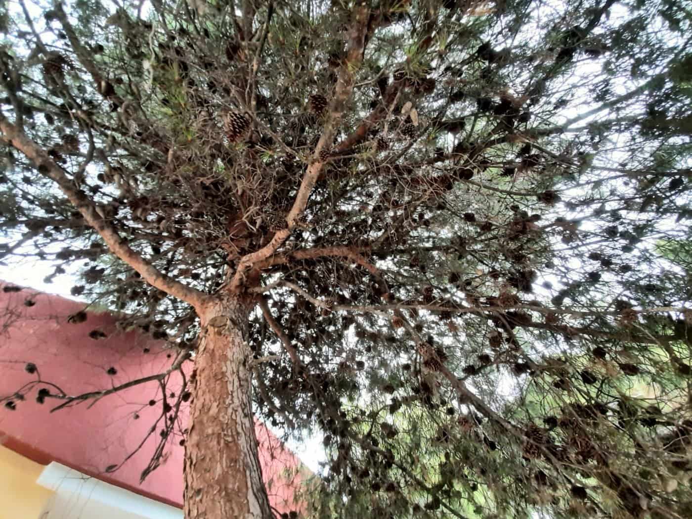 4 camera da letto Villa in vendita in Calarreona con garage - 300.000 € (Rif: 7494033)