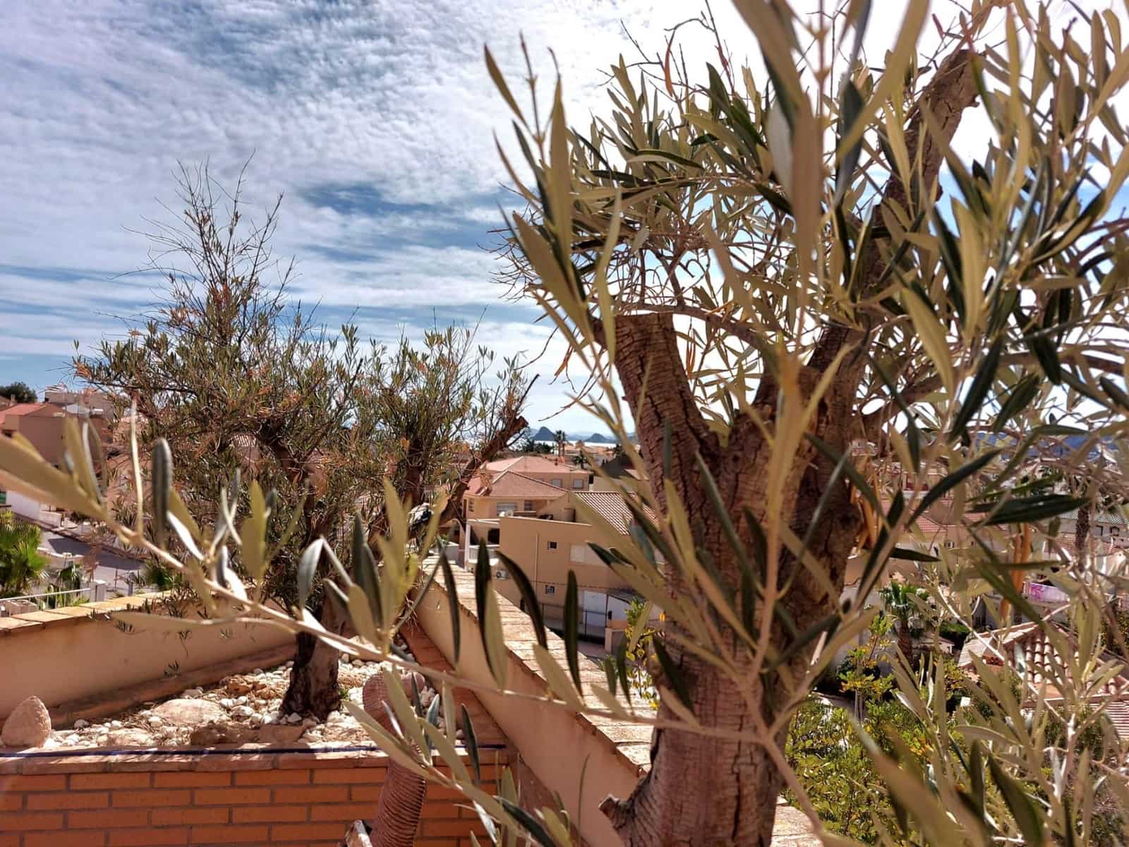 8 makuuhuone Huvila myytävänä paikassa Calabardina - 690 000 € (Ref: 8268304)