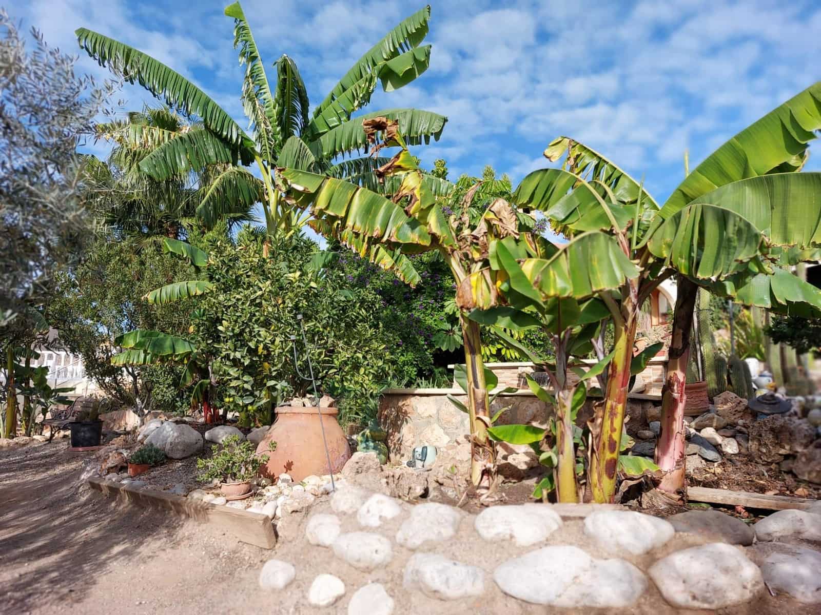 3 soveværelse Finca/Landehus til salg i Aguilas med swimmingpool garage - € 312.000 (Ref: 8652845)