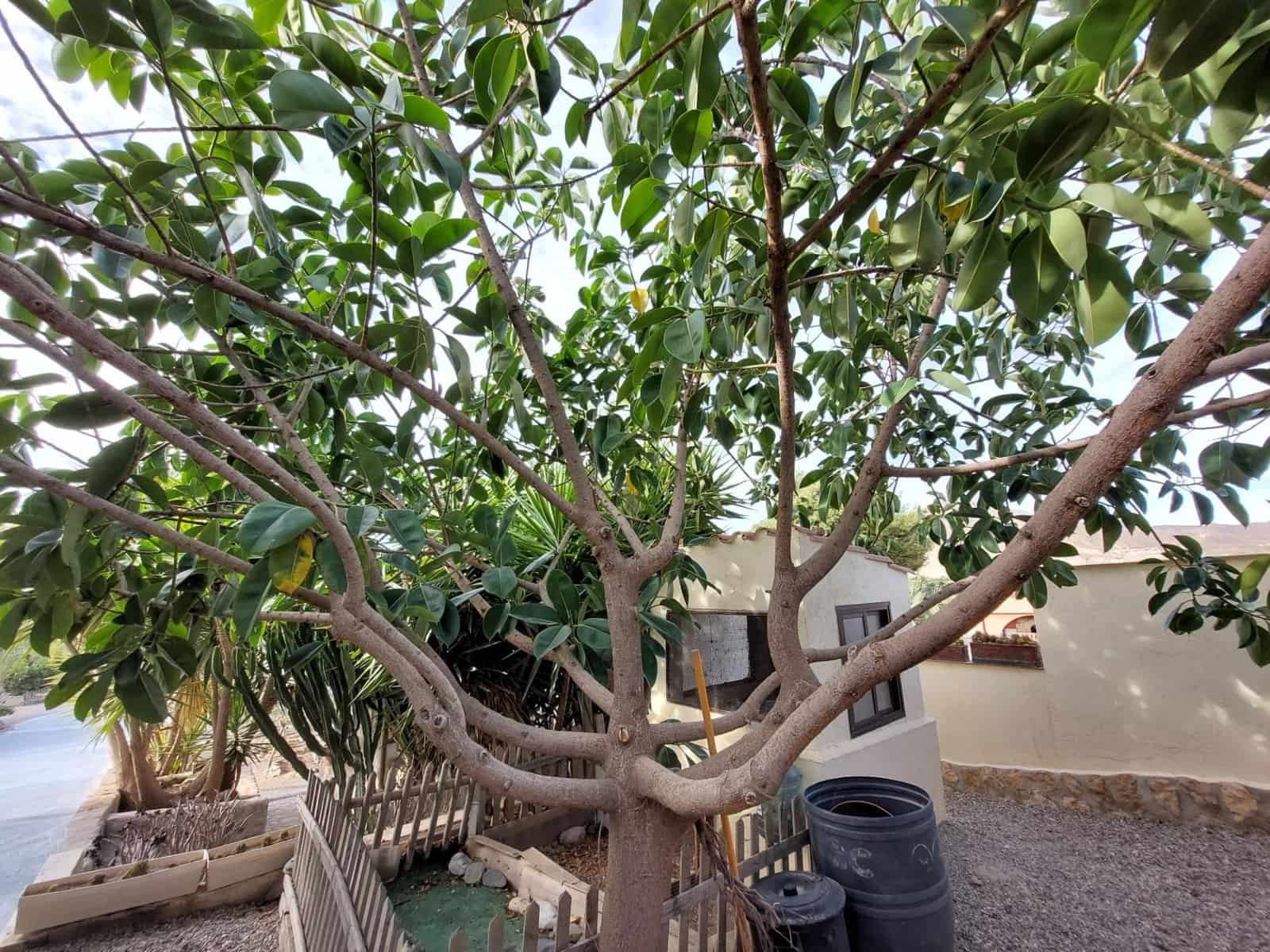 3 soveværelse Finca/Landehus til salg i Aguilas med swimmingpool garage - € 312.000 (Ref: 8652845)