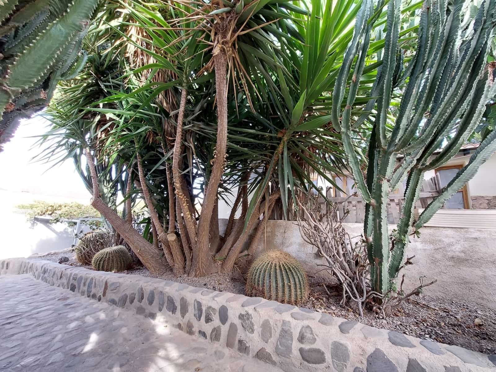 3 soveværelse Finca/Landehus til salg i Aguilas med swimmingpool garage - € 312.000 (Ref: 8652845)