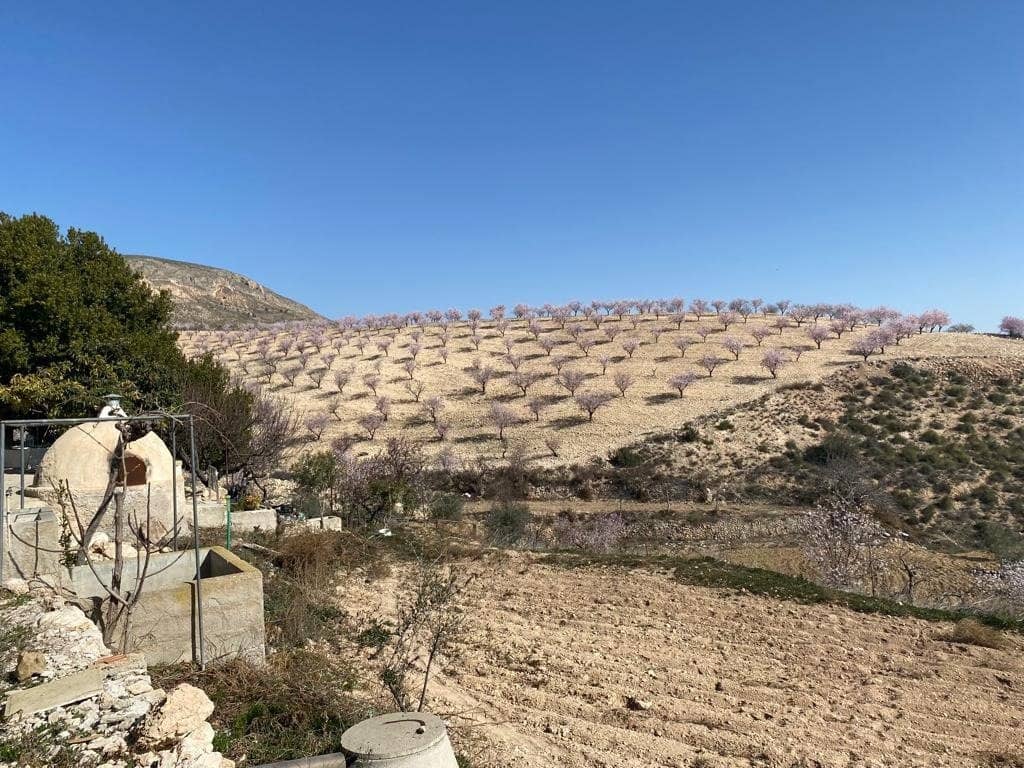 3 sovrum Finca/Hus på landet till salu i Lorca med garage - 136 000 € (Ref: 9963417)