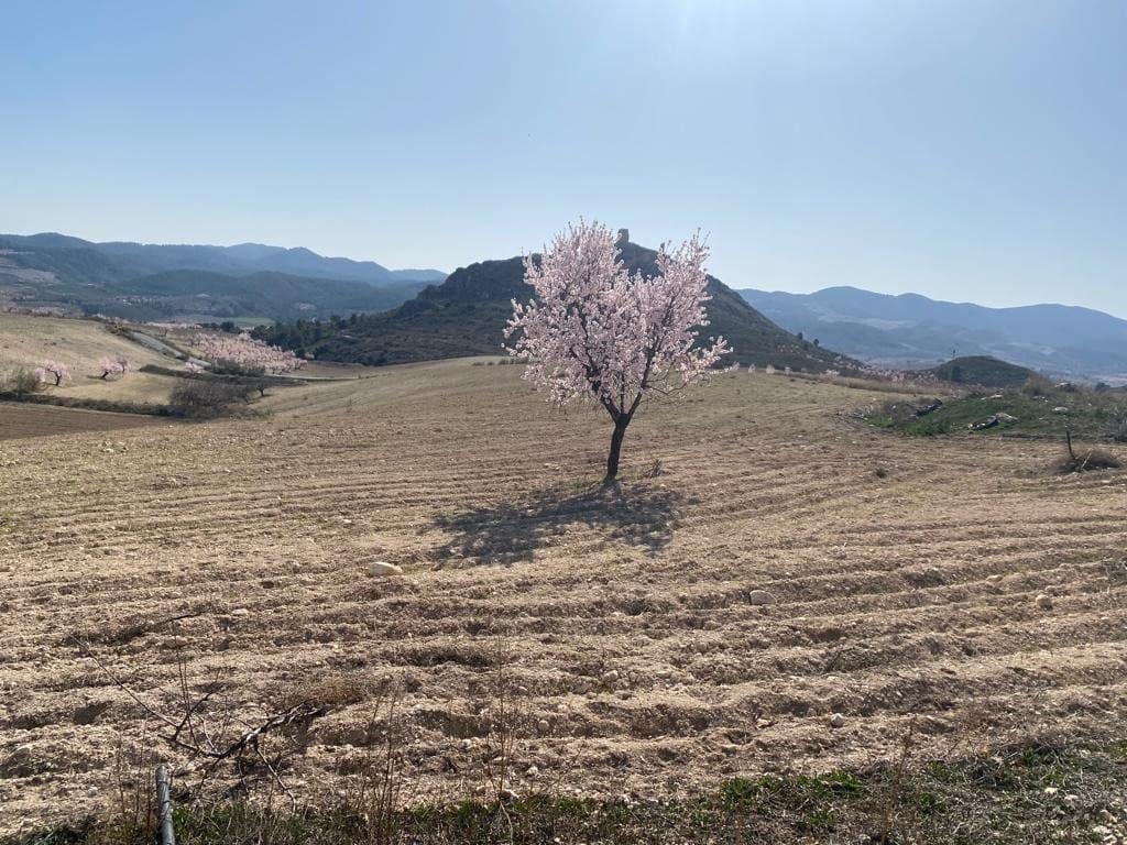 3 sovrum Finca/Hus på landet till salu i Lorca med garage - 136 000 € (Ref: 9963417)