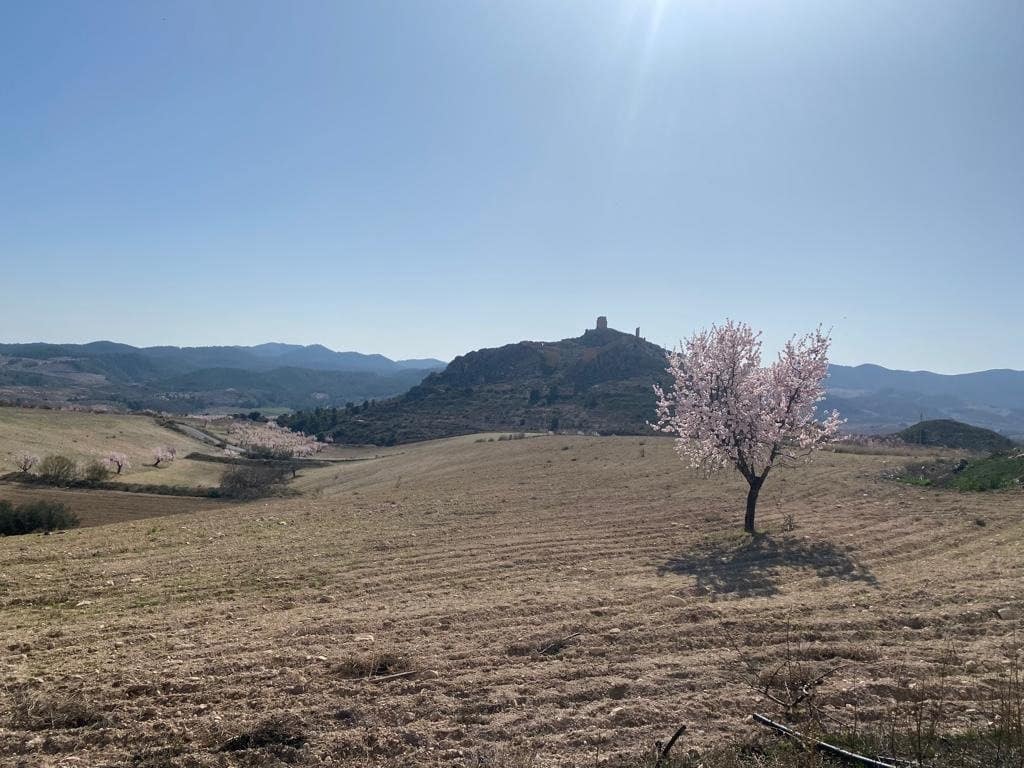 3 sovrum Finca/Hus på landet till salu i Lorca med garage - 136 000 € (Ref: 9963417)
