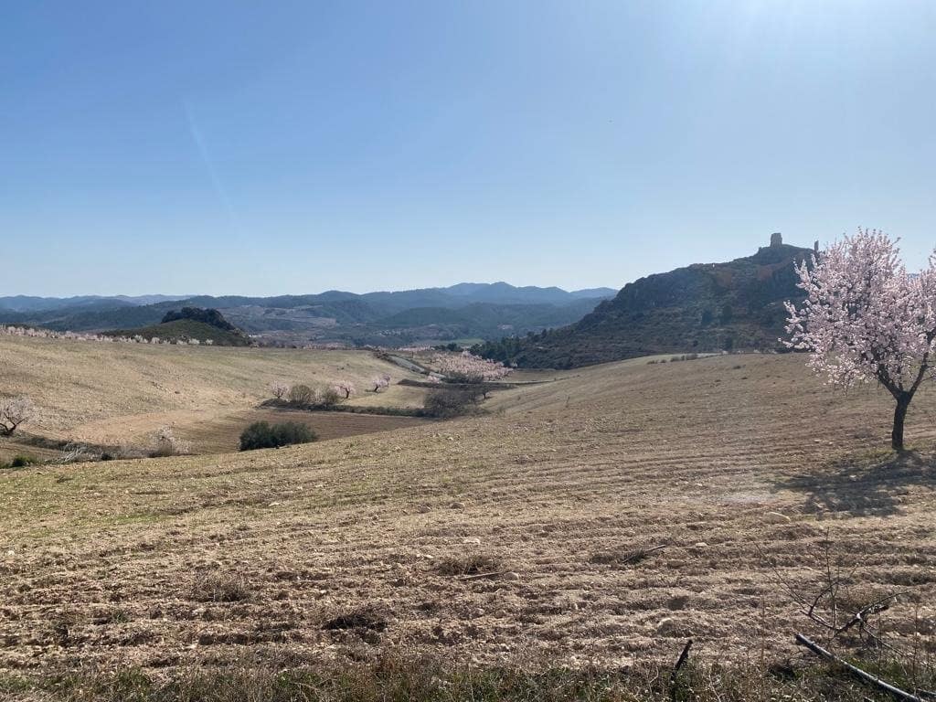 3 sovrum Finca/Hus på landet till salu i Lorca med garage - 136 000 € (Ref: 9963417)