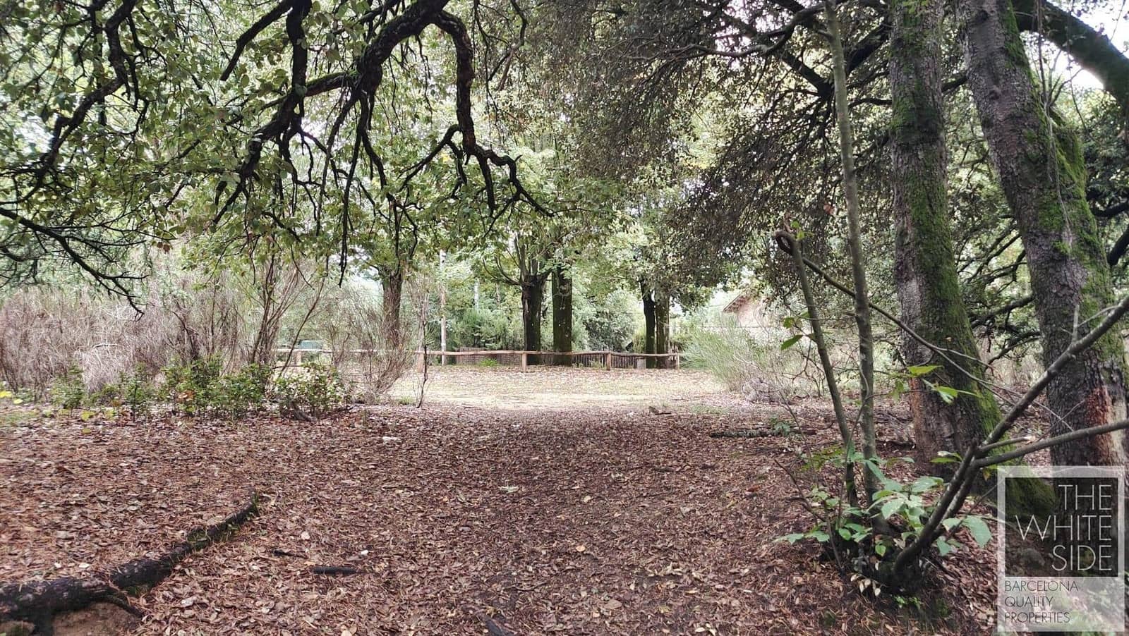 Grunde uden byggetilladelser til salg i Viladrau - € 129.500 (Ref: 7445476)