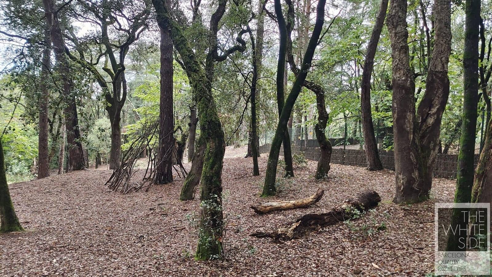 Grunde uden byggetilladelser til salg i Viladrau - € 129.500 (Ref: 7445476)