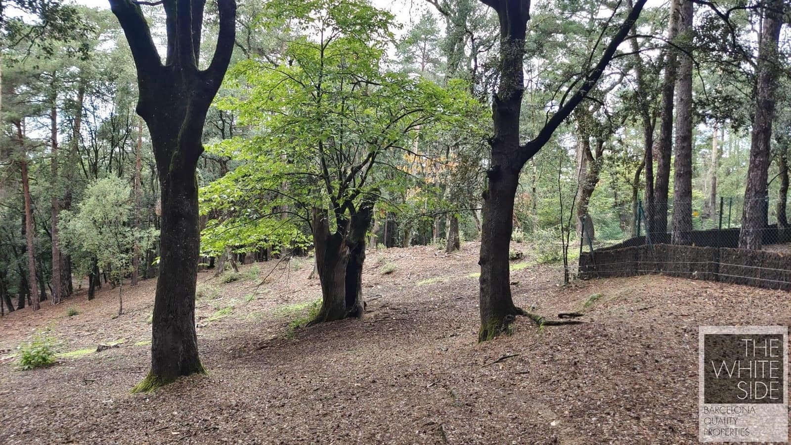 Grunde uden byggetilladelser til salg i Viladrau - € 129.500 (Ref: 7445476)