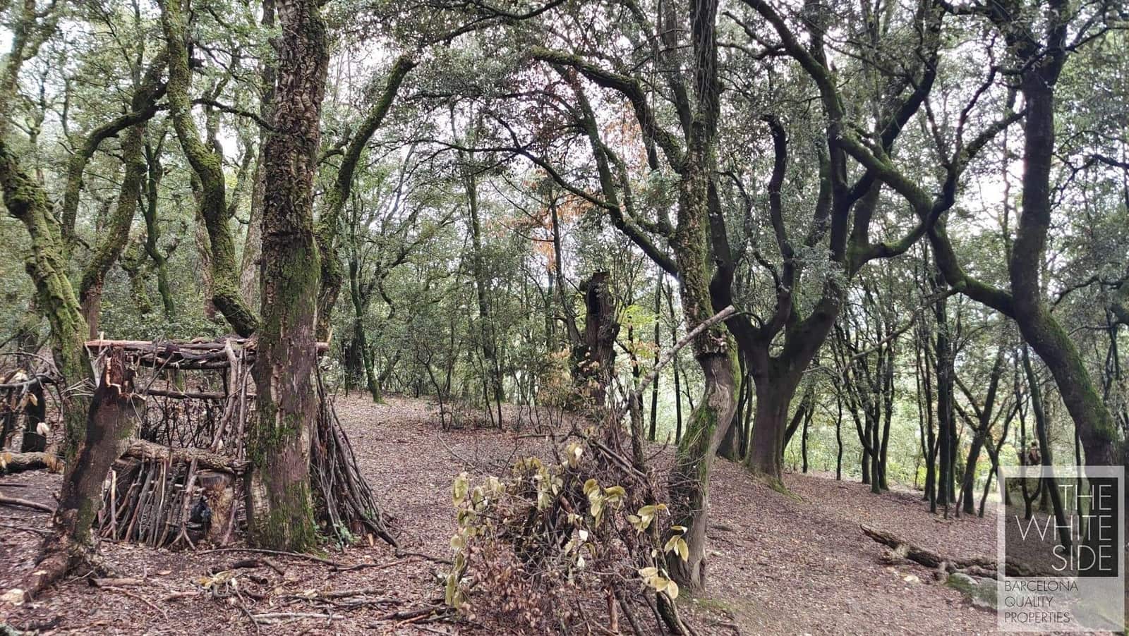 Grunde uden byggetilladelser til salg i Viladrau - € 129.500 (Ref: 7445476)