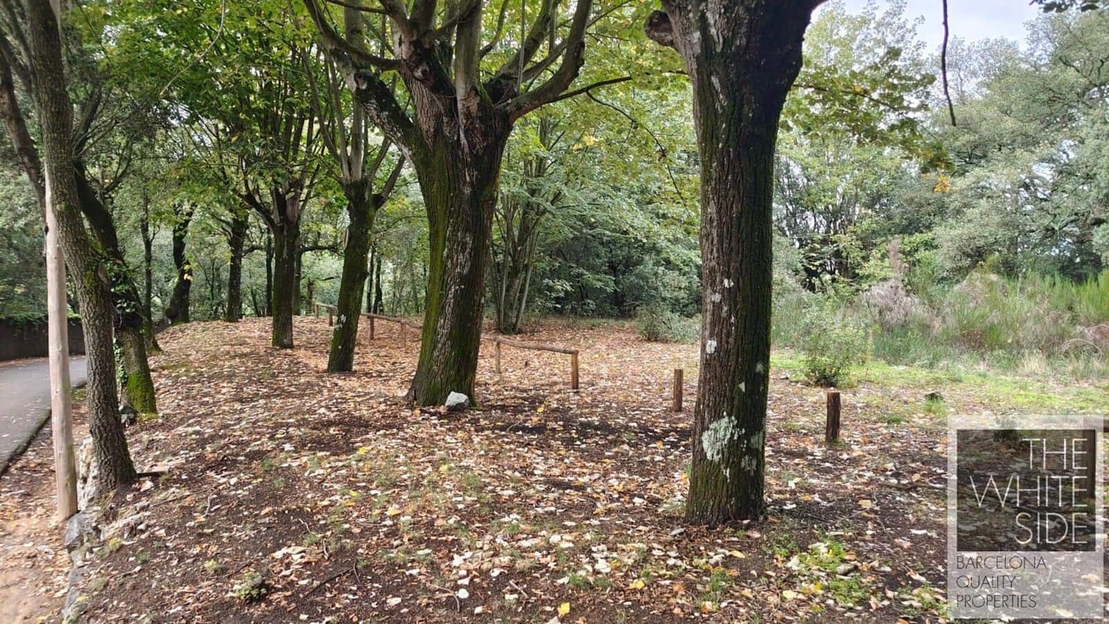 Grunde uden byggetilladelser til salg i Viladrau - € 129.500 (Ref: 7445476)