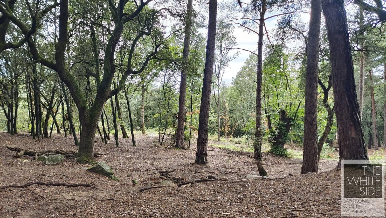 Grunde uden byggetilladelser til salg i Viladrau - € 129.500 (Ref: 7445476)