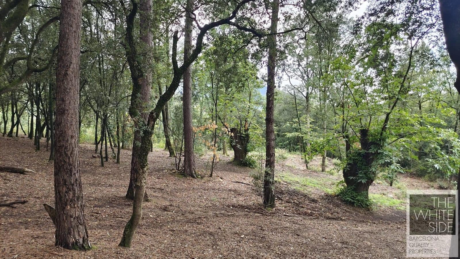 Grunde uden byggetilladelser til salg i Viladrau - € 129.500 (Ref: 7445476)