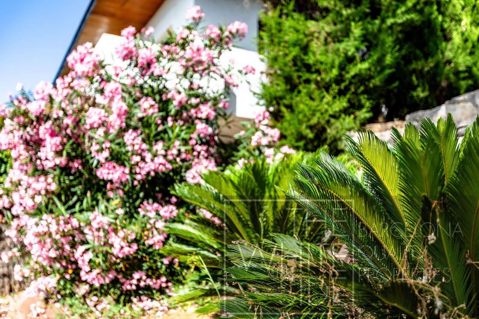 4 soveværelse Villa til salg i Palleja med swimmingpool garage - € 860.000 (Ref: 9358930)