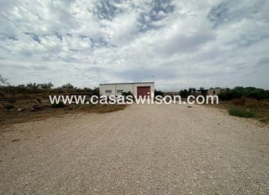 Bedrift til salgs i Torremendo, Orihuela - € 100 000 (Ref: 9669117)