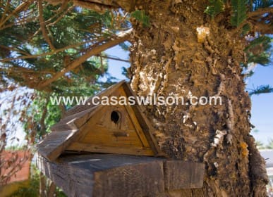 2 quarto Moradia para venda em El Chaparral, Torrevieja - 255 000 € (Ref: 9669120)