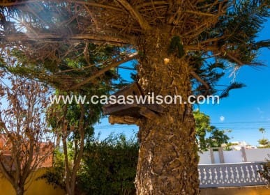 2 quarto Moradia para venda em El Chaparral, Torrevieja - 255 000 € (Ref: 9669120)