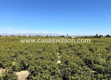 3 bedroom Apartment for sale in Benejuzar - € 105,000 (Ref: 9733382)