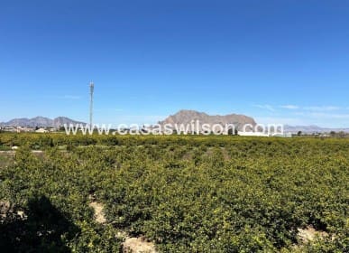 3 bedroom Apartment for sale in Benejuzar - € 105,000 (Ref: 9733382)